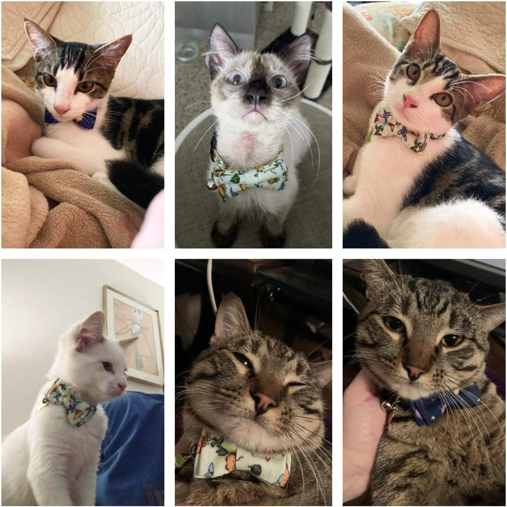 Collar para gatos con cierre de seguridad y lindo cascabel con pajarita, paquete de 2 collares para gatitos con pajarita extraíble, collar 